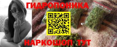 круглые Бийск
